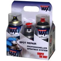 SprayMax Sixpack Spot-Repair Kit